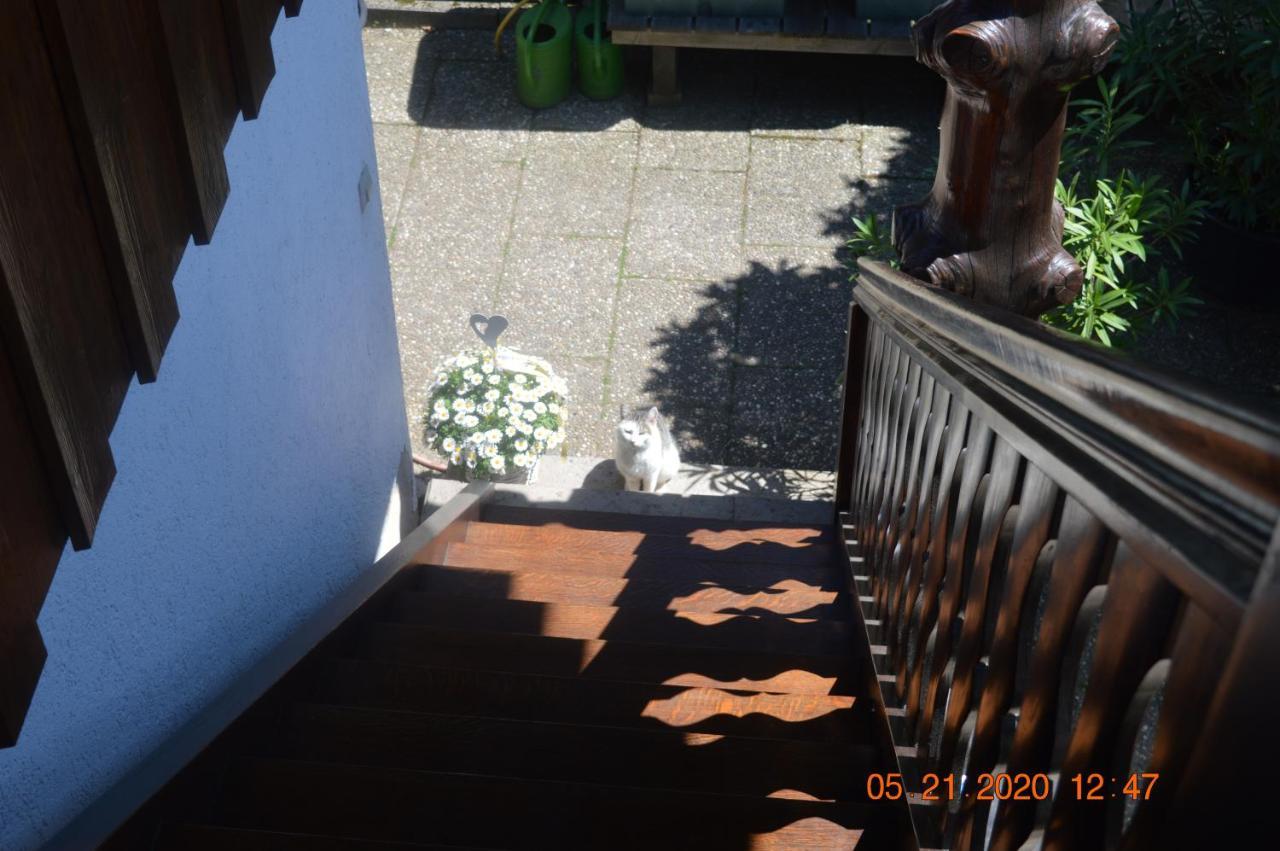 Beim Holzmann Apartment